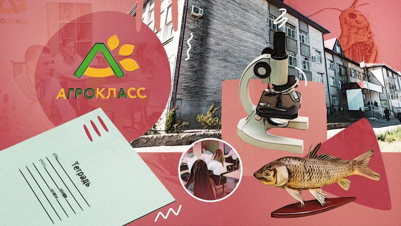 Не коровам хвосты крутить: чему учат в агроклассах Александровского округа Ставрополья