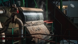 28 тыс. тонн сахара произвели на Ставрополье с начала августа — видеосюжет