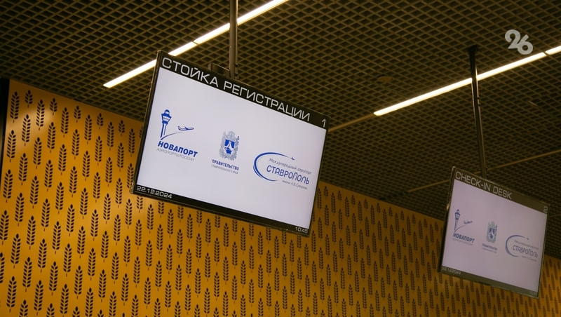 Восемь рейсов отменено и 15 задерживается в аэропортах Ставропольского края 