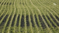 Ставропольским аграриям для весенне-полевых работ нужно 337 тыс. тонн удобрений