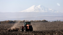 Ставрополье благодаря губернатору остаётся «житницей страны» — политолог Нечаев
