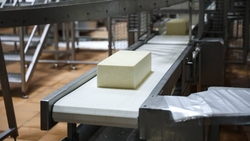 Рецептуру полезного твёрдого сыра разрабатывают на Ставрополье