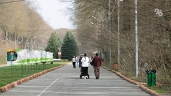 Миннац Ставрополья выстраивает диалог с местной цыганской диаспорой 