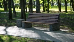 Аллею памяти в честь погибших бойцов СВО благоустроят в селе на Ставрополье