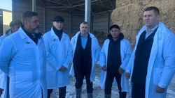 Производство молока в Кировском округе Ставрополья выросло за год в 2,7 раза