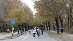 Туристам в Солнечнодольске предлагают аудиогид для знакомства с муралами