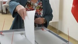 Избирком Ставрополья разъяснил права избирателей, наблюдателей и СМИ на участках