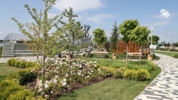 Два проекта-победителя всероссийского конкурса по благоустройству реализуют на Ставрополье в 2024 году