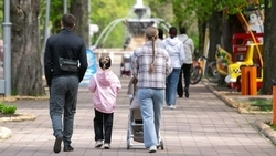 Депутат Госдумы от Дагестана просит признать чайлдфри экстремистами