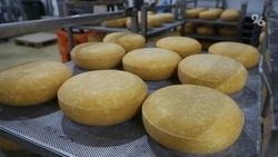 Производство продуктов питания на Ставрополье увеличилось на 10%