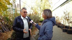 Директор ставропольского ботсада рассказал о сроках высадки ранних овощных культур