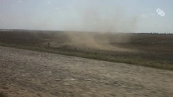 Жара может сделать человека агрессивным и вызвать бессонницу — психолог