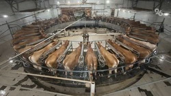 90,1 тыс. тонн молока произвели на Ставрополье за два месяца