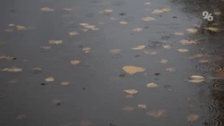 Ставропольцев ожидают дожди и похолодание к 1 октября