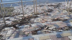 Ураганный ветер в Ставрополе опрокинул остановку, повалил деревья и рекламные щиты