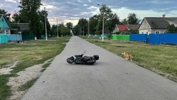 На Ставрополье скутерист с признаками опьянения сбил ребёнка