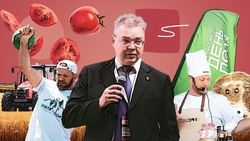 Достижения Ставрополья, дегустации, концерты звёзд: чем запомнился «Всероссийский день поля» в Минводах