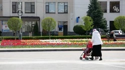 Многодетная мать из Предгорья добилась выплат компенсации за детсад через СКР