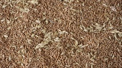 Ставрополье перевыполнило показатель по продаже сельхозпродукции за рубеж на 3%