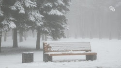 Метель накрыла несколько городов на Ставрополье 