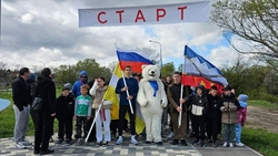 День космонавтики отметили тематическими мероприятиями на Ставрополье