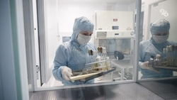 Увеличить количество бюджетных мест для подготовки специалистов-медиков поручил глава Ставрополья