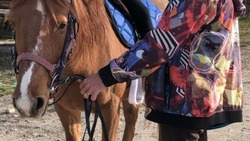 Девушка погибла во время конной прогулки в Кабардино-Балкарии