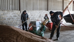 Аграрии почти завершили посев ранних яровых культур в Ставропольском крае