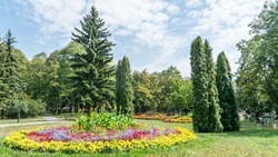 Парк в селе на Ставрополье преображается благодаря нацпроекту