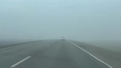 Туман ограничил видимость на трассах Петровского округа Ставрополья