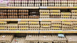 Стоимость яиц на Ставрополье падает вторую неделю 