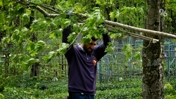 Всероссийский субботник прошёл на Даниловском кладбище в Ставрополе