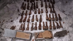 Крупный оружейный тайник времён Великой Отечественной войны нашли на Ставрополье 