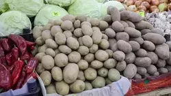 Несколько продовольственных ярмарок развернутся в конце недели в Ставрополе