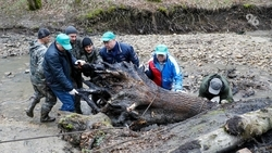 Глава Ставрополья призвал земляков поддержать правительственный субботник