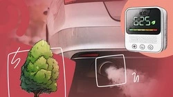 Машины портят, а деревья чистят: чем дышат горожане на Ставрополье и помогает ли зелёный щит