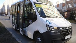Проблему общественного транспорта в Ставрополе решат с помощью троллейбусов и больших автобусов