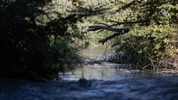 Расход воды в Невинномысском канале соответствует среднесезонным нормам