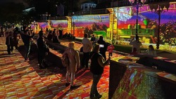 Ягодный фестиваль в Кисловодске стартует 11 августа c масштабного 3D-шоу