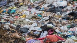 Свалку из строительного мусора и павших животных обнаружили возле села в Апанасенковском округе