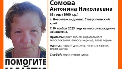 Пенсионерка в сером джемпере пропала на Ставрополье