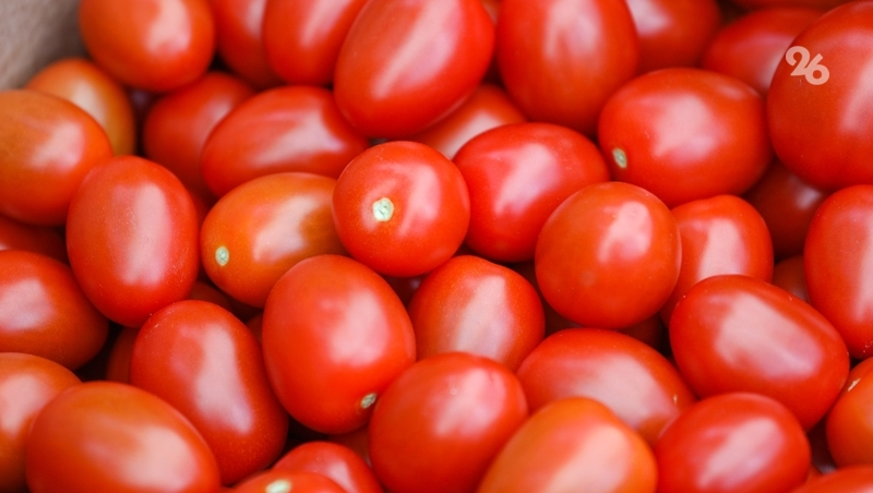 Помидоры третью неделю дорожают на Ставрополье