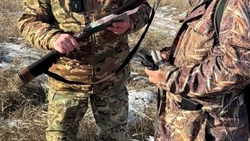 Сезон охоты на четыре вида птиц завершили на Ставрополье