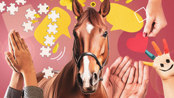 Первым стал «Добрый»: как лошади в Ессентуках помогают больным детям и бойцам СВО