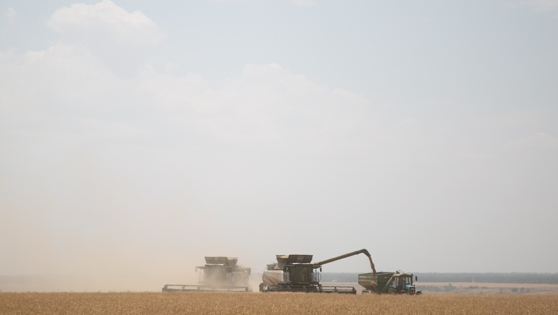 В Предгорном округе заготовили 65,2 тыс. тонн кормов для зимовки скота