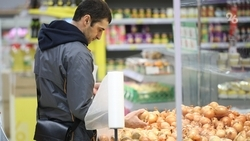 Около 600 тонн лука собрали аграрии Ставрополья 