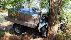 Водитель молоковоза пострадал, врезавшись в дерево в Ипатовском округе