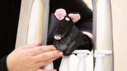 Мастер-классы и сюрпризы ждут зрителей театра кукол в Ставрополе с 20 марта