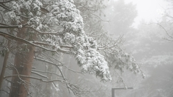 Непогода оставила без света и газа часть жителей Новоалександровского округа