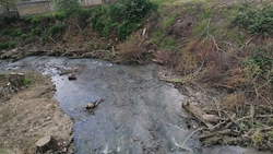 Минприроды Ставрополья проверит русло Ташлы после жалобы жителей о его захламлении